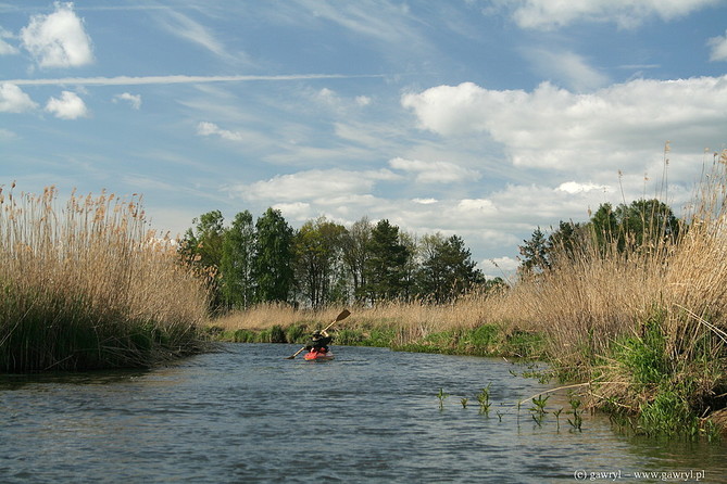 Biebrza River