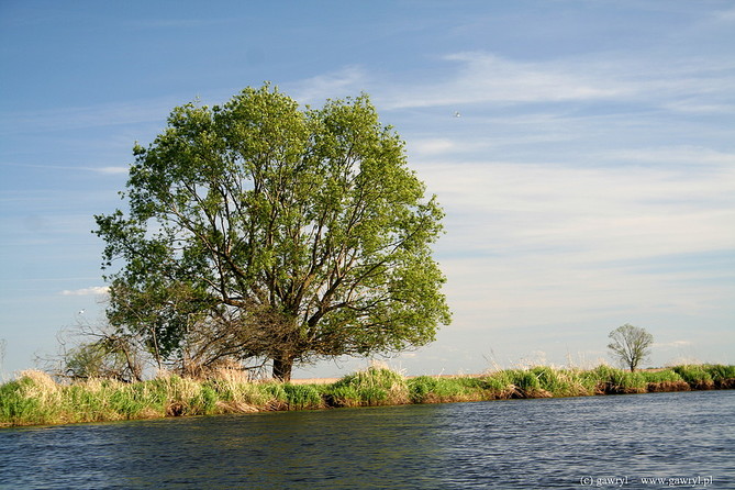 Biebrza River