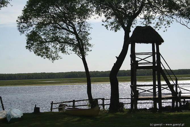 Biebrza River