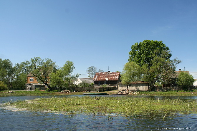 Biebrza River