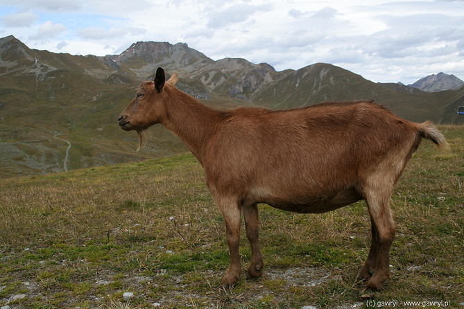 Ischgl, Austria