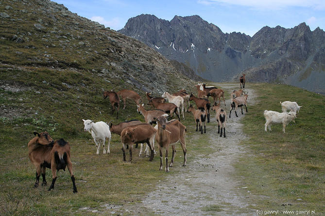 Ischgl, Austria