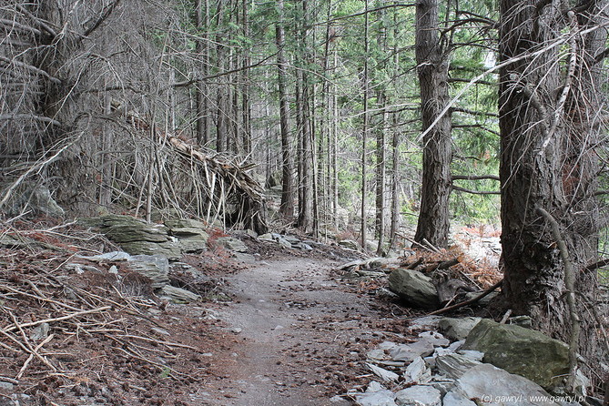 New Zealand - Queenstown, trip arround Lake Wakatipu