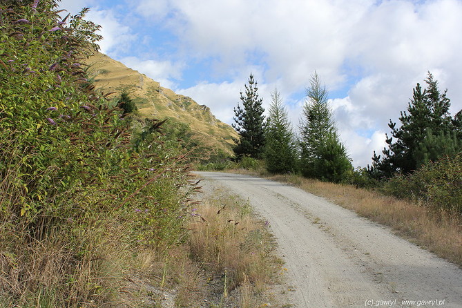 New Zealand - bike trip towards Moke Lake