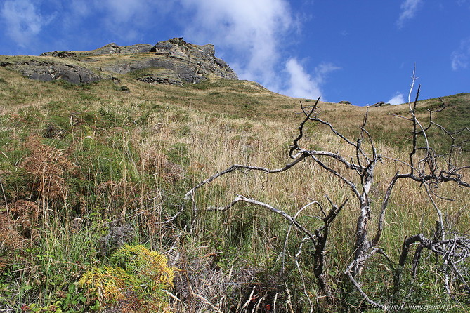 New Zealand - bike trip towards Moke Lake