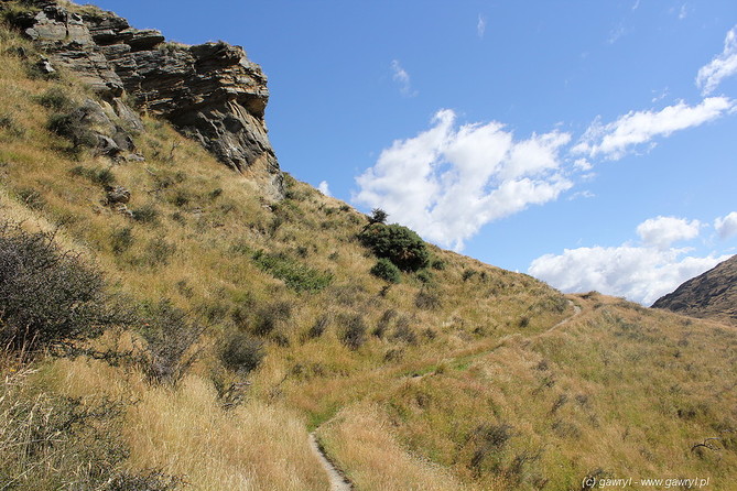 New Zealand - bike trip towards Moke Lake