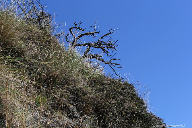 New Zealand - bike trip towards Moke Lake