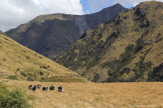 New Zealand - bike trip towards Moke Lake