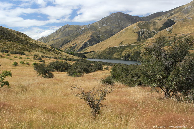 New Zealand - Moke Lake area