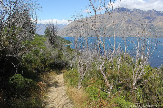 New Zealand - Queenstown, Lake Wakatipu