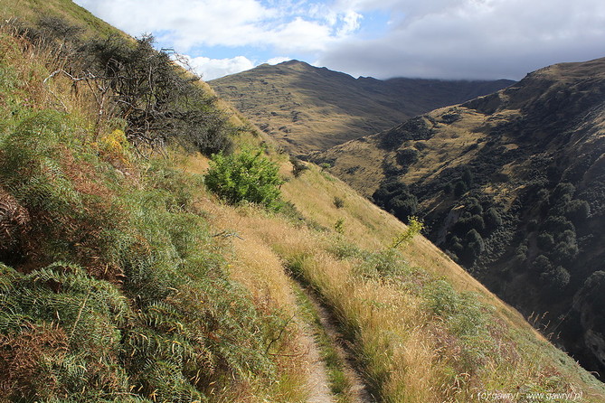 New Zealand, bike trip towards Moke Lake