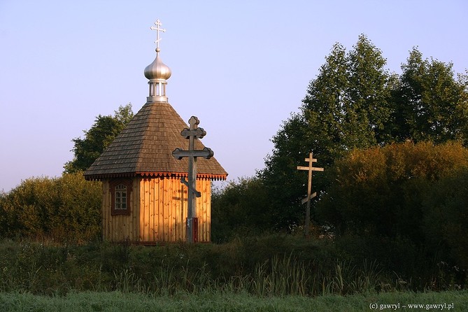 Bialowieza National Park