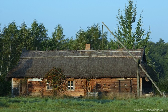 Bialowieza National Park