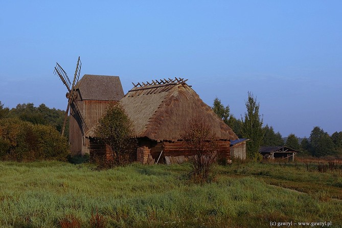 Bialowieza National Park