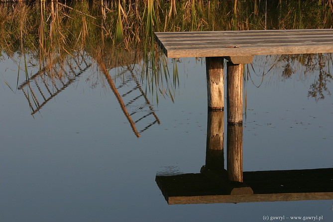Bialowieza National Park