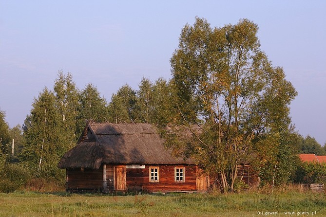 Bialowieza National Park
