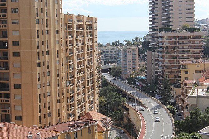 Monte Carlo
